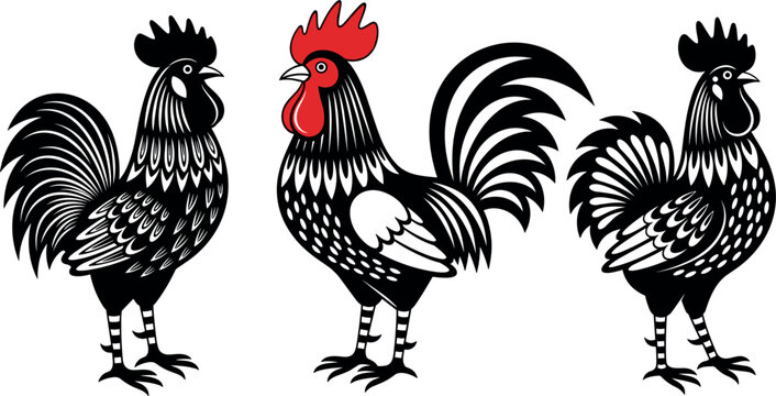 Traditional Rooster and Cockerel Vector Set with Folk Art Linocut Style Patterns and Red Comb Elements for Country Farmhouse Graphic Backdrop and Logo DesignsTraditional Rooster and Cockerel Vector Se