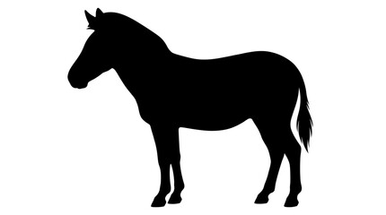 Obraz premium Silhouette of a Horse Standing in Profile on White Background.