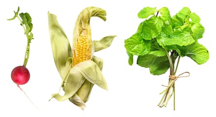 Fresh vegetables on white background element set isolated on white © Rawpixel.com