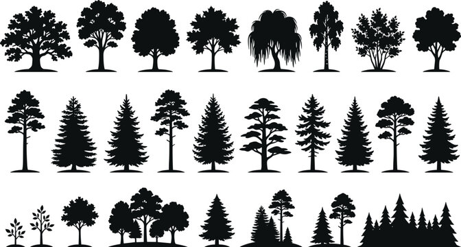 Black silhouettes of various trees on white background, tree silhouettes black trees tree forest nature