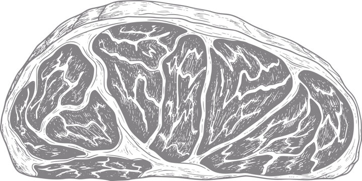 Hand-drawn of a raw beef steak with marbling