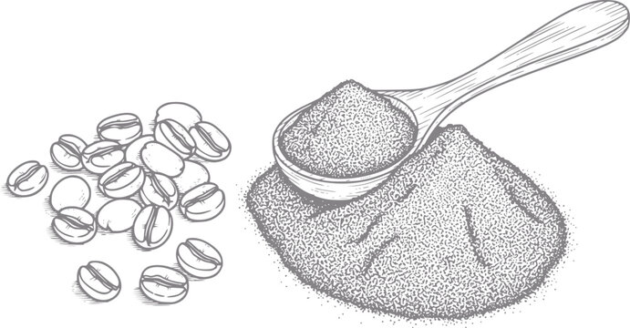 Hand-drawn of coffee beans and ground coffee on a spoon