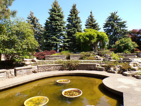 Summer landscape with trees and pond, stone,  in the park