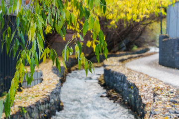 Naklejka premium Green leaves hanging over a winding stream with stone banks and autumn foliage along the pathway in a tranquil natural setting