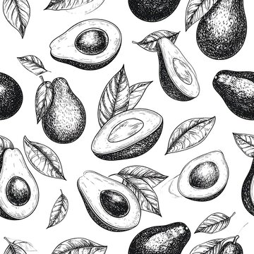 Minimalist black and white seashell illustration collection.