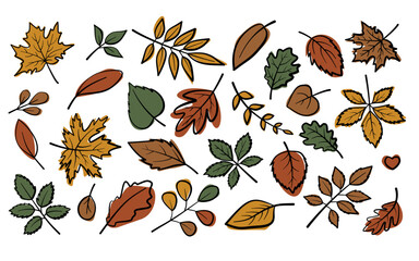 Fototapeta premium Cozy autumn foliage pack isolated on white. Hand drawn colored leaves of oak, maple and birch. Minimalist flat 2D vector elements.