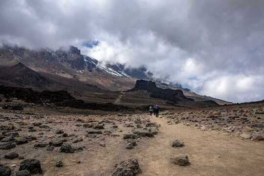 Mount Kilimanjaro. Kilimanjaro National Park in Tanzania, Africa. Trekking and climbing to the summit.