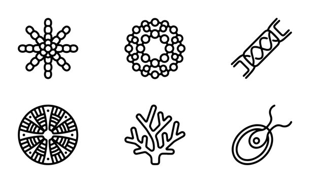 Microscopic Organisms Vector Icons: Bacteria, Algae, Protozoa, Diatoms, Coral, DNA - Science & Biology Graphics