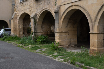 Fototapeta premium Variety of vegetation that is taking over the old villages. On walls, stairs, pipes, entries, different constructions, rivers, paths... and more. Wild plants mostly. Shot in old French villages. 
