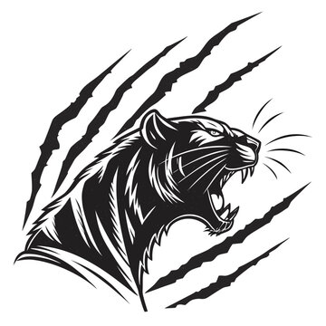Aggressive panther head mascot illustration with claw scratches aggressive predator illustration dangerous identity