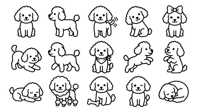 Set of cute poodle dogs in various poses