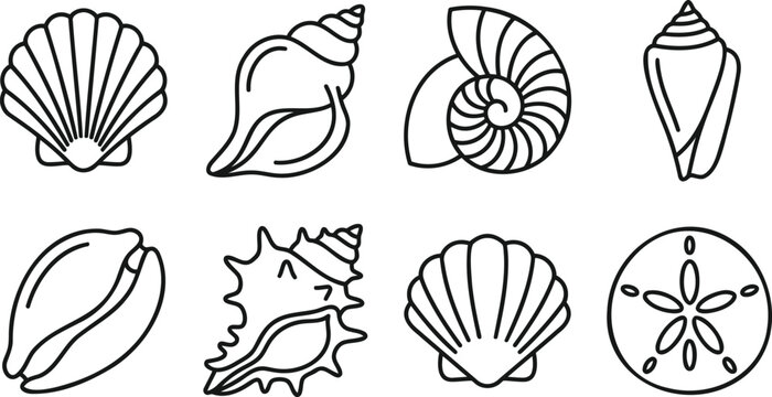 Set of simple outline seashells and sea life icons