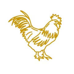 rooster isolated on white © Nur