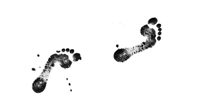 Pair of black barefoot prints with ink texture isolated on transparent background. Conceptual image representing human presence, ecological footprint, identity, or natural walk.
