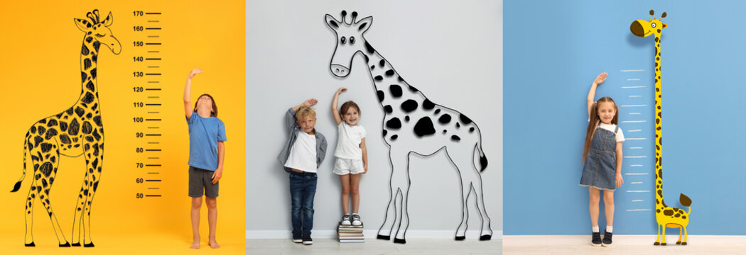 Little children near drawings of giraffe on color backgrounds, collage of portraits. Measuring height