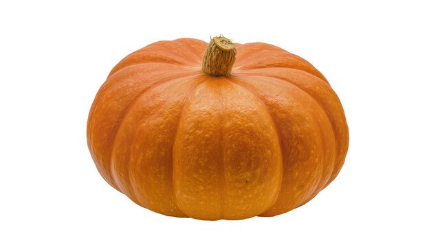 Isolated vibrant orange pumpkin with a short stem, perfect for autumn decor and harvest concepts