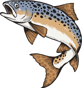 Jumping brown trout illustration, dynamic freshwater fish vector art with detailed spots, isolated on white background, ideal for sport fishing, wildlife, and nature-themed graphic design projects