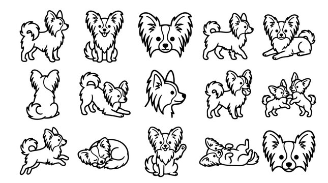 Collection of cute Papillon dogs in various poses
