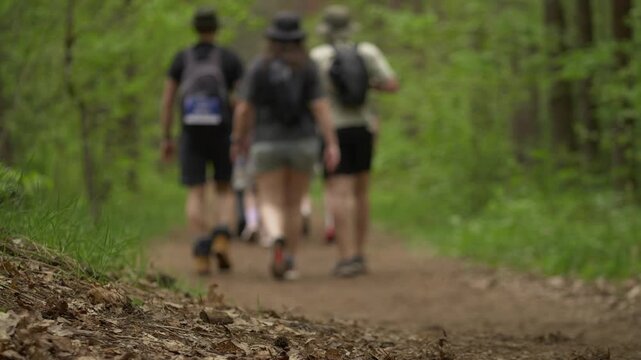 Hikers walking on forest trail with ground focus handheld view