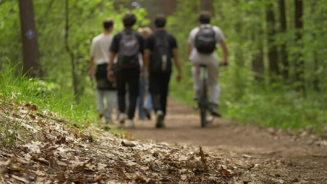 Group walking and cycling in forest during hiking event