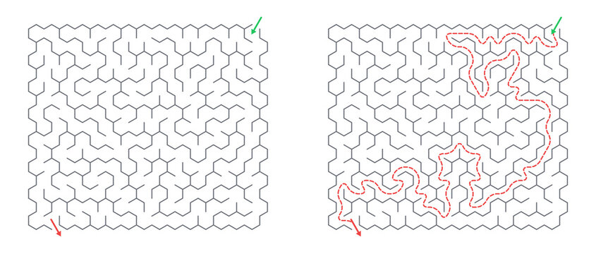 Maze challenge with answers. Solved hexagonal grid maze 15x15 with red solution path. Medium level.
