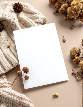 White gift box with cookies and pine cones on rustic cloth.