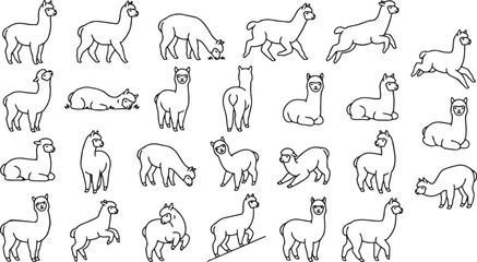 Naklejka premium Alpaca Line Art Pose Set – Fluffy Mountain Animal Outline Vector