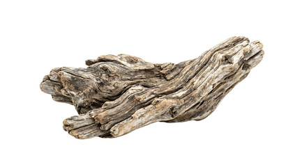 Obraz premium A weathered piece of driftwood with intricate textures and a natural, organic shape, isolated on a white background
