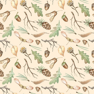 Watercolor autumn forest pattern with oak leaves, twigs, maple keys, acorns, dried flowers, and pine cones. Hand-drawn elegant design on pastel background. For textile, home decor, scrapbooking