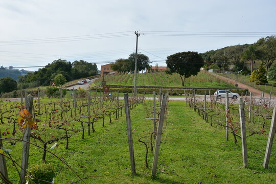 vale dos vinhedos - rs