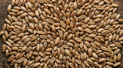 Fototapeta premium High resolution top view of raw wheat grains on a textured wooden background