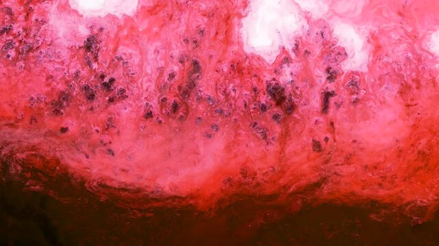 Exploration of alcohol ink patterns in video art set against an abstract backdrop