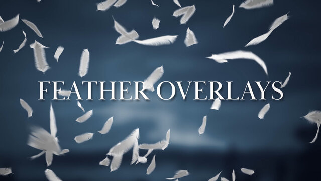Feather Overlays