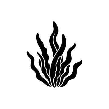 The Image Is A Black And White Line Drawing Of A Plant The Plant Appears