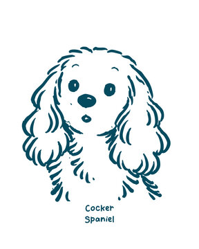 Cocker Spaniel Dog Face Hand Drawn Sketch Illustration
