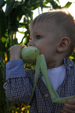 little girl eating corn