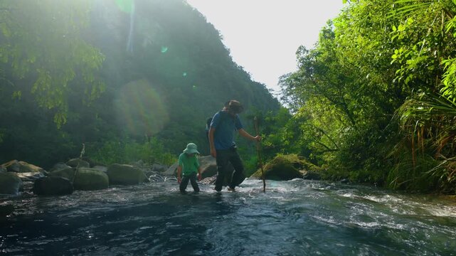 Father and son hiking through wild nature as they wade across a flowing river surrounded by lush tropical rainforest. Man guides child with walking stick through pristine wilderness with sun flare.