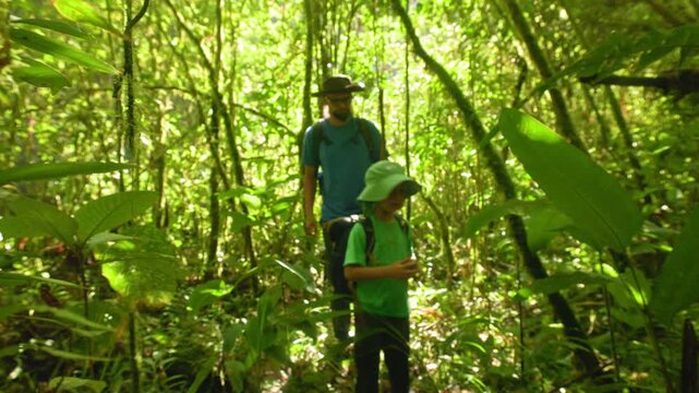 Son with father hiking wild nature through dense tropical rainforest. Sunlight filters through green canopy as dad and child explore jungle trail wearing hats and backpacks on adventure.