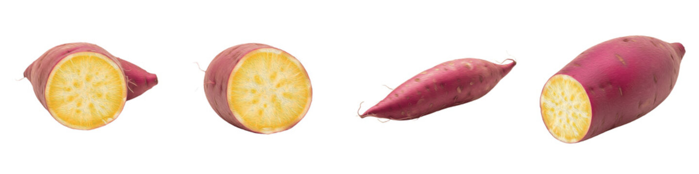 Set of fresh whole and sliced sweet potatoes isolated on white background, collection of raw organic ipomoea batatas taters with purple skin and yellow flesh cut in halves, healthy nutritious vegetabl