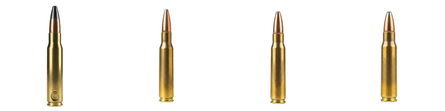 Collection of rifle bullets and ammunition cartridges with brass casings isolated on white background, set of military firearm ammo rounds for hunting and defense weapons, isolated rifle cartridges gr