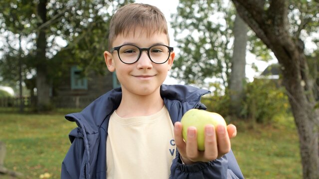 Young boy wearing round glasses smiling at the viewer while holding a vibrant green apple in an outdoor orchard setting, representing healthy eating and childhood happiness