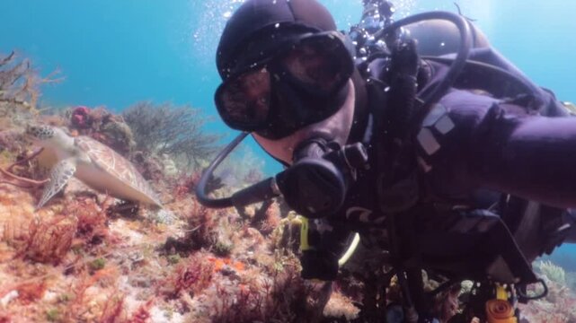 Selfie with a baby Green turtle (chelonia mydas) looking for food in the reef