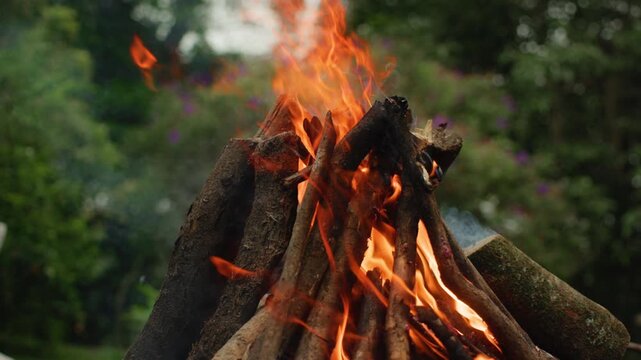 Wooden logs arranged in teepee formation burn with bright orange flames and rising smoke. Rustic outdoor campfire against blurred green foliage and purple flowers in garden setting during daytime.
