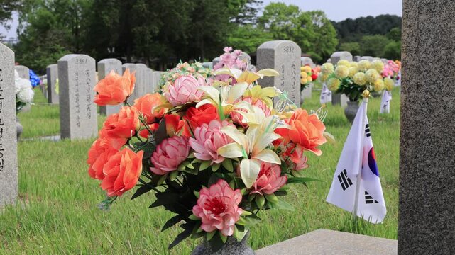 Peaceful Memorial Landscape of Daejeon National Cemetery, South Korea
