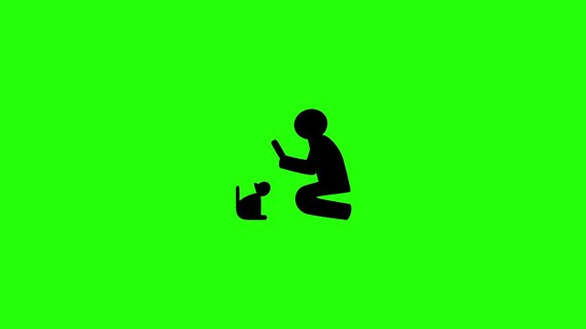 4K horizontal layout featuring stick figures person kneeling down to take photo of a small cat silhouette bouncing. Perfect asset for pet blogger app.