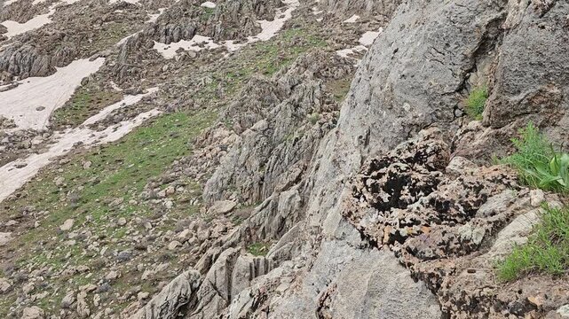 Rocky mountain slope with patches of melting snow, jagged limestone formations, and sparse alpine vegetation under overcast sky.
📍 Hawraman Takht, Kurdistan, Iran 