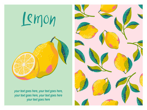 Set of citrus fruits doodle poster. Vector print with hand drawn lemons and leaves