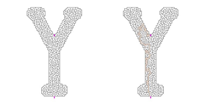 Alphabet letter Y upsilon Abstract outline shaped maze puzzle vector with answer with purple arrows showing direction , graphic illustration for Kids activity page, Printable game and books publishing