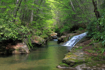 Water cascades down a picturesque waterfall where remote rivers join in a shimmering pool © John