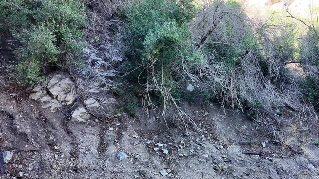The Santa Ana Mill Creek Alluvial Fan Looking at the sacred waterfall to the Yahaviatam 
